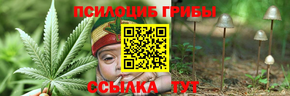 Псилоцибиновые грибы мухоморы Чайковский